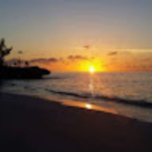 Meet your Posher, Cynthia